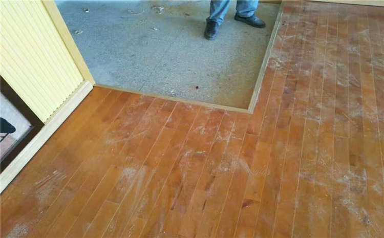 常見(jiàn)的運(yùn)動(dòng)木地板有何種類(lèi)有哪些