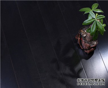 黑色運(yùn)動木地板