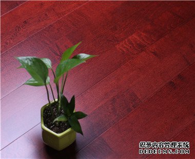 酒紅色運動木地板