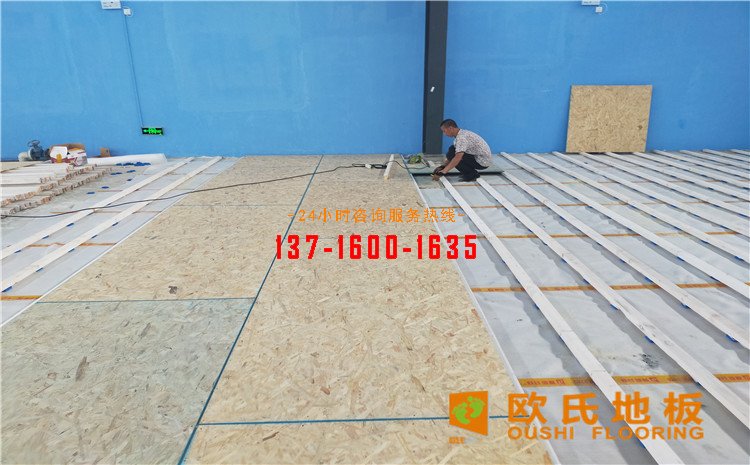 廣東惠來(lái)縣羽毛球館木地板案例——?dú)W氏運(yùn)動(dòng)木地板廠家