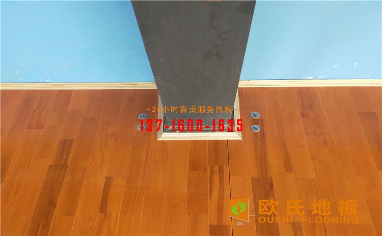 廣東惠來(lái)縣羽毛球館木地板案例——?dú)W氏運(yùn)動(dòng)木地板廠家