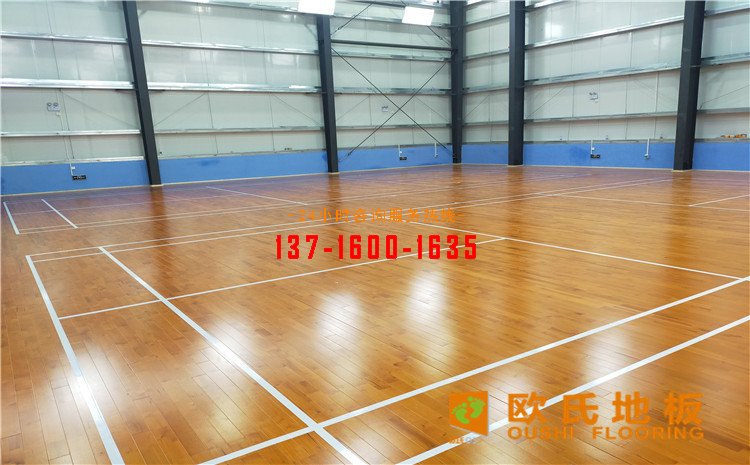 廣東惠來(lái)縣羽毛球館木地板案例——?dú)W氏運(yùn)動(dòng)木地板廠家