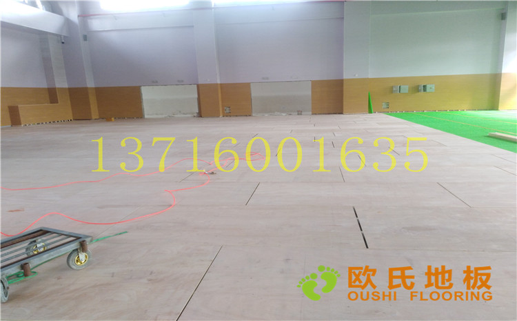 江蘇鹽城西環(huán)路小學(xué)體育館木地板案例—歐氏運動木地板廠家