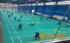 蘭州運(yùn)動木地板廠家