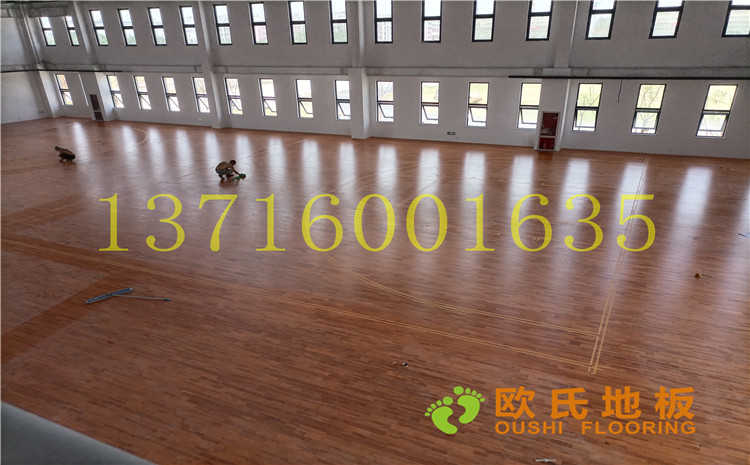 江蘇宿遷運河路學(xué)校體育館木地板案例-歐氏運動木地板廠家