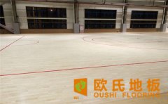 2020中國(guó)體育木地板**品牌