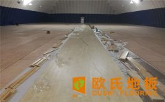 運(yùn)動(dòng)木地板如何選購(gòu)？