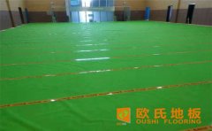 歐氏體育運(yùn)動(dòng)木地板面板大全