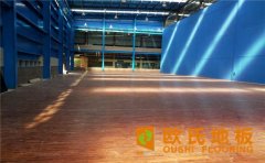 運(yùn)動(dòng)木地板結(jié)構(gòu)系統(tǒng)都有什么？