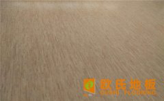 運動木地板防蟲浸水有辦法嗎？