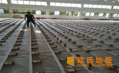 籃球木地板價格合理嗎？