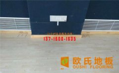 籃球木地板蟲(chóng)蛀的真正原因及防治方法