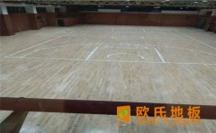 四川室內(nèi)排球館木地板多少錢？