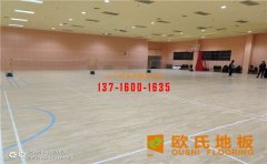 楓樺木運動面板有什么要求？