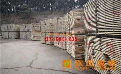 快來跟我學(xué) 運(yùn)動木地板保養(yǎng)小妙招