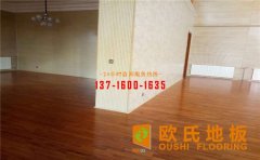 體育運動木地板顏色怎么選怎么配？