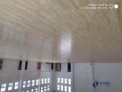 室內(nèi)運(yùn)動木地板的選擇標(biāo)準(zhǔn)